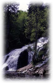 La cascade du Pissieu